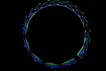 Luz Para Raios 1041 (Spoke... 2