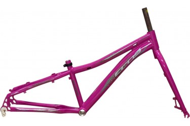 Kit 24 Spirit Feminina Pink...