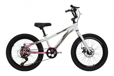 Bicicleta 20 Feminina 7v...