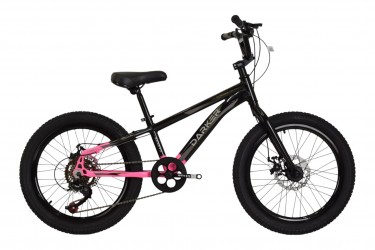 Bicicleta 20 Feminina 7v...