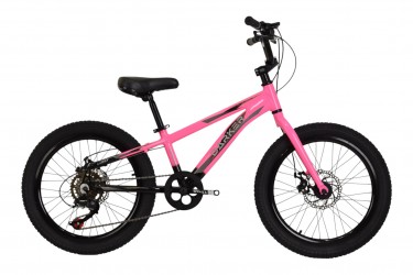 Bicicleta 20 Feminina 7v...