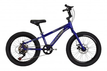 Bicicleta 20 Masculina 7v...
