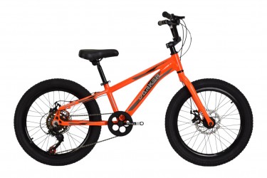 Bicicleta 20 Masculina 7v...