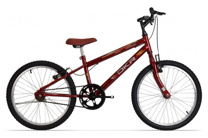 Bicicleta 20 Masc. Mtb Rbx Vrum Mono...