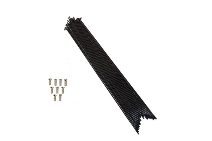 Raio Bic. 262x2,0 Preto C/niple Crom....