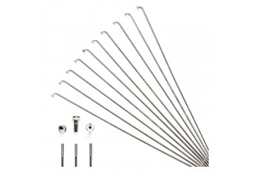 Raio Bic. 263x2,5 Inox Gr Oxx