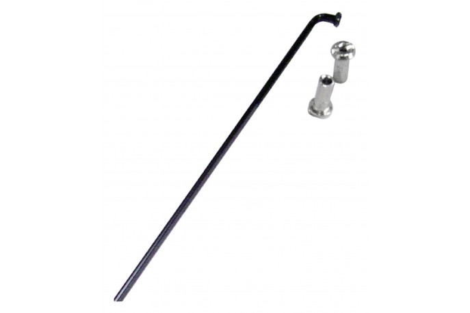 Raio Bic. 280x2,0 Preto Gr Hwx